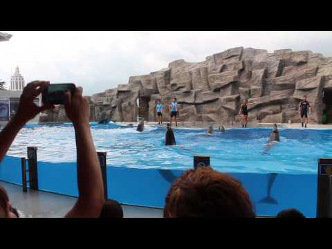 დელფინარიუმი 2014