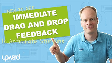 How To Add Immediate Feedback To A drag And Drop Interaction In Storyline