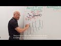 ECG - EKG Chest Leads - Abnormalities of R wave progression - Electrocardiography