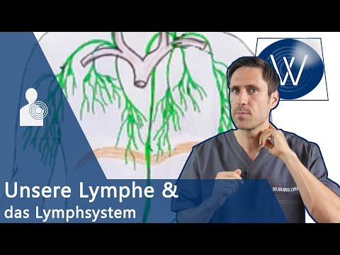 Video: Lymphsystem - Funktionen, Krankheiten, Reinigung