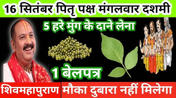 16 सितंबर पितृ पक्ष मंगलवार दशमी को 5 हरे मुंग और 1 बेलपत्र वाला उपाय जरुर करें|| Pradeep ji Mishra