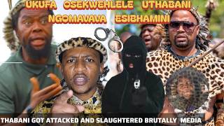 ISIHLUKU ESESEHLELE UTHABANI HLATSHWAYO KUKUFA KABI EZINKABINI #phakelumthakathi 