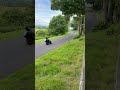Cock o the north