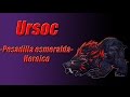 Ursoc Hc - Pesadilla esmeralda Heroico | Chaman heal