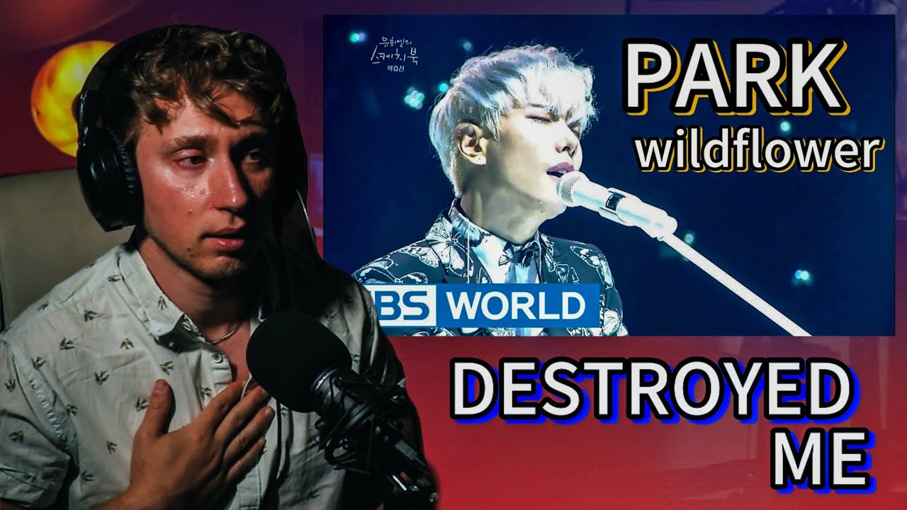 Park Hyoshin - Wildflower | 박효신 - 야생화  2017 | I CRIED! | Richards Infinity Reacts