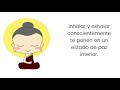 Lo que la meditación hace por mí