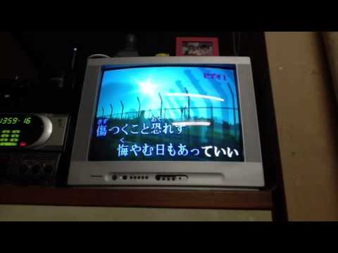DEEN 未来のために カバー曲  jinchansing