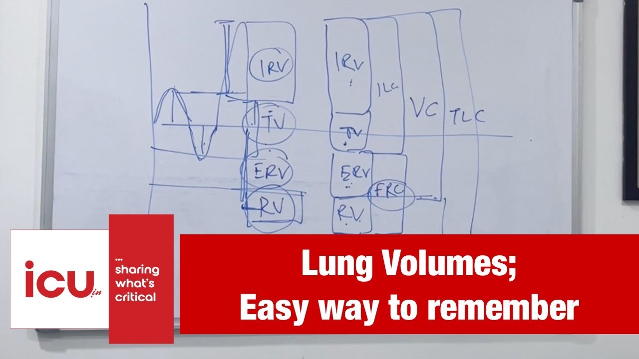 Lung Volumes easy way to understand and remember YouTube