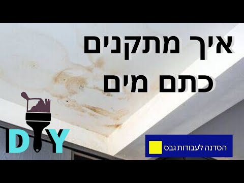 וִידֵאוֹ: מתי הומצאו צבעי מים?