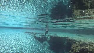  Ruth B. Kirby Gilchrist Blue Springs State Park