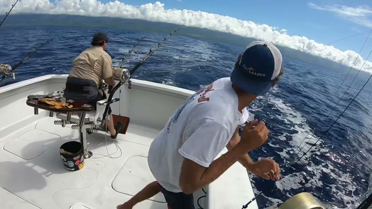 Offshore Fishing for Marlin - Kona, Hawaii 2019 (HD clips)