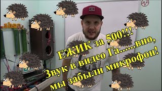 ЕЖИК за 500!!! Звук в видео Га......вно, мы забыли микрофон!