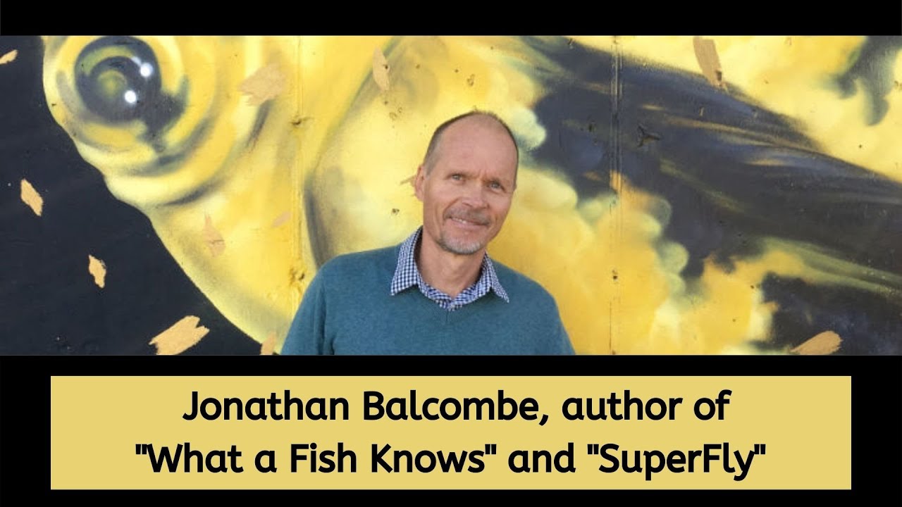 Jonathan Balcombe: The Amazing Lives of Flies and Insects