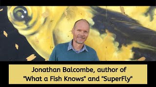 Jonathan Balcombe: The Amazing Lives of Flies and Insects