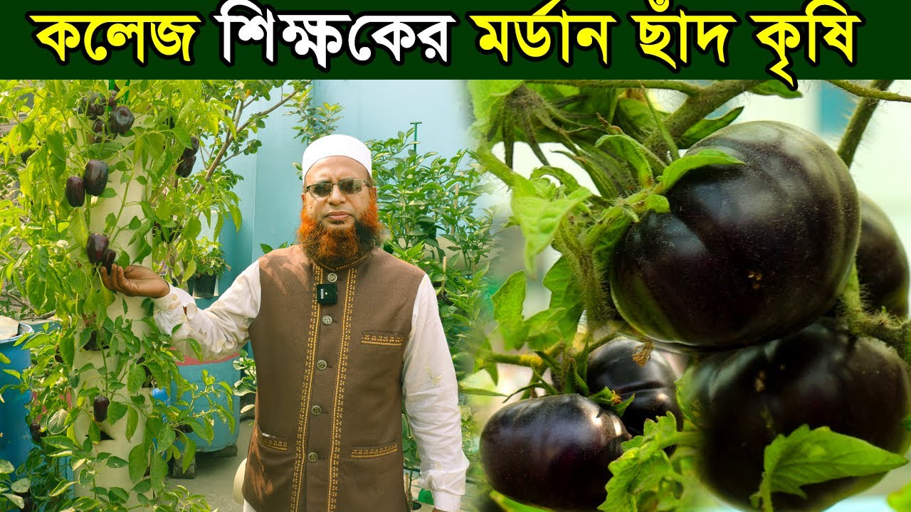 কলেজ শিক্ষকের মর্ডান ছাঁদ কৃষি।বাড়ির ছাঁদ যেনো এক খন্ড ফুল এবং ফলের বাগান।
