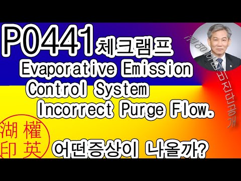 자동차 체크램프 고장코드 P0441 또는 에러내용 Evaporative Emission Control System Incorrect Purge Flow(증발가스 비정상 흐름)