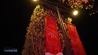 Deluxe Confidential 2021/2022 Holiday Wishes