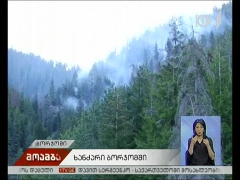 ხანძარი ბორჯომის ხეობაში