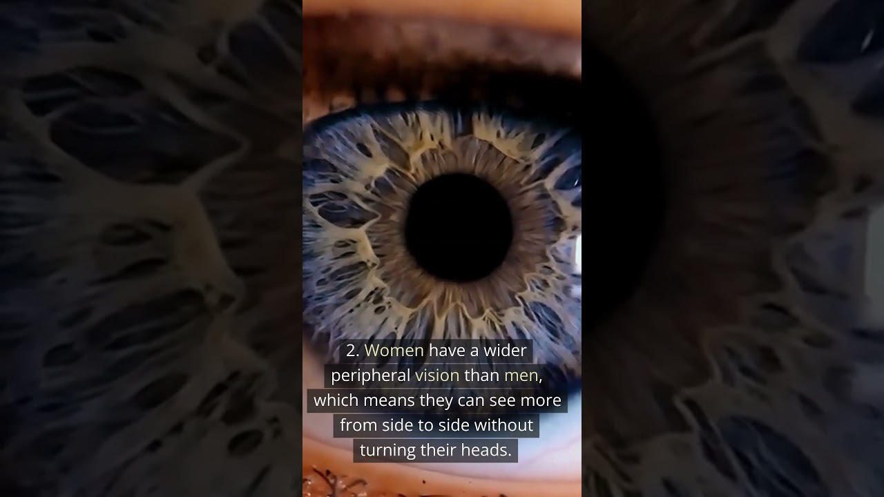 Men have better memory? 