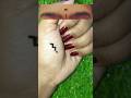 #eyelinertutorial #bindi #bindihack #trending #shorts #youtube #art #love #trendingshorts #explore