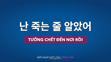 Học tiếng Hàn 2021 | MỖI NGÀY MỘT CÂU TIẾNG HÀN [난 죽는 줄 알았어]