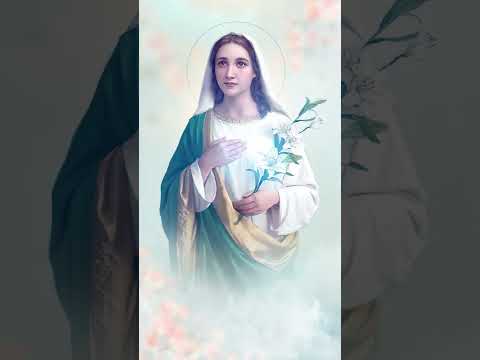 Video 20/10/2022 | Dâng Mẹ Cuộc Đời - youtube
