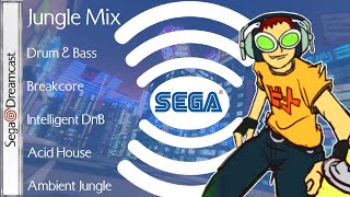 The Ultimate Dreamcast Gaming Jungle Mix  // 90s 00s DnB, Ambient, Intelligent, Acid House
