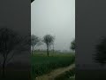 ملتان میں بارش الحمدللہ