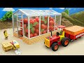 DIY Mini Tractor Build Greenhouse After the Hail using Brick & Glass | HP Mini DIY Tractor
