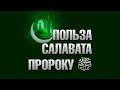 «Польза Салавата Пророку ﷺ»