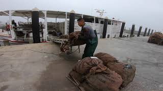 Oyster Shell Recycling A to Z