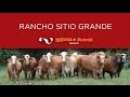 53 Rancho Sitio Grande, 2016.