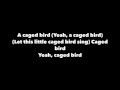 J Cole - Caged Bird W/ Lyrics
