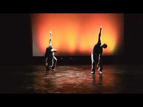 Trotzdem - skindivers dance company