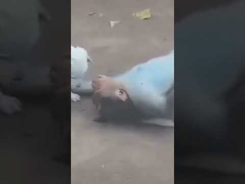 فلوسي فين يا ابن