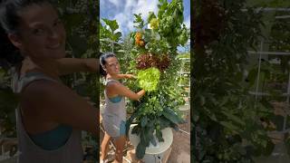 Mixing Different Crops On The Same Tower