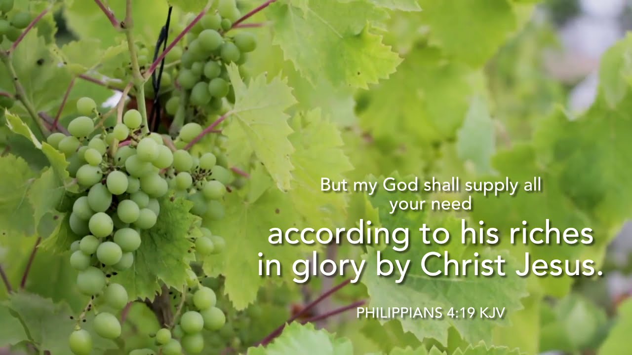 Philippians 