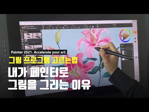 페인터 프로그램의 특징 장단점은 무엇인지 나한테 맞는 그림 프로그램은  어떻게 선택하면 좋은지   알려 드립니다   (디지털페인팅 입문)