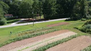 Lick Log Farm