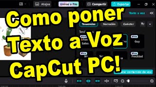 How to convert text to audio in CapCut PC TEXT TO SPEECH AUTOMATED Content? screenshot 4
