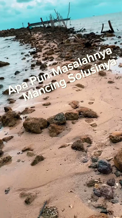 Apapun Masalahnya Mancing solusinya #mancing #fishing #ikanbabon #mancingmania #ikanbesar