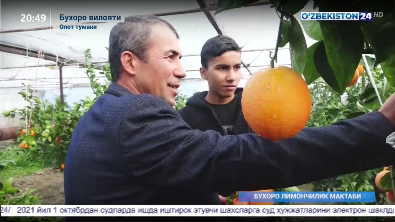Махсус репортаж  ЎзТВ 24