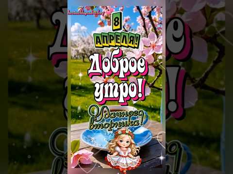 Доброе утро вторника, друзья!🕊🌼🫖#8 #апрель #вторник #сдобрымутром #доброгоутра #рекомендации