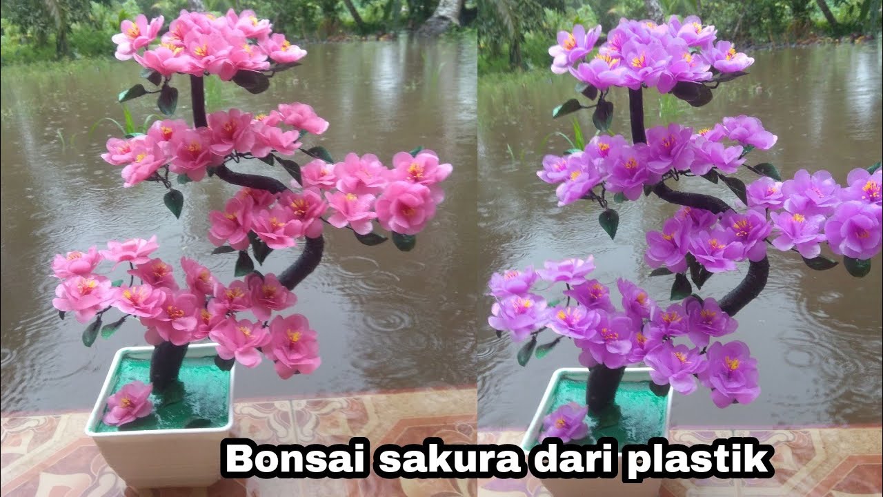 Bonsai sakura dari plastik kresek | DIY Cherry blossom from Plastic bag
