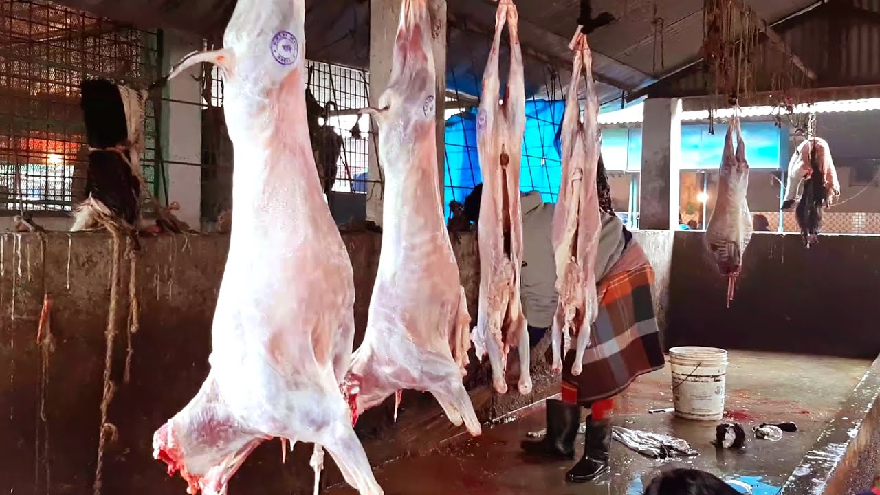 Full Fresh Goat Meat Cutting Process Amazing Goat Meat Cutting And Cleaning By Professional Butcher