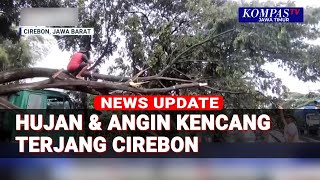 Hujan Deras Disertai Angin Kencang Terjang Cirebon, Pohon Tumbang Timpa Truk