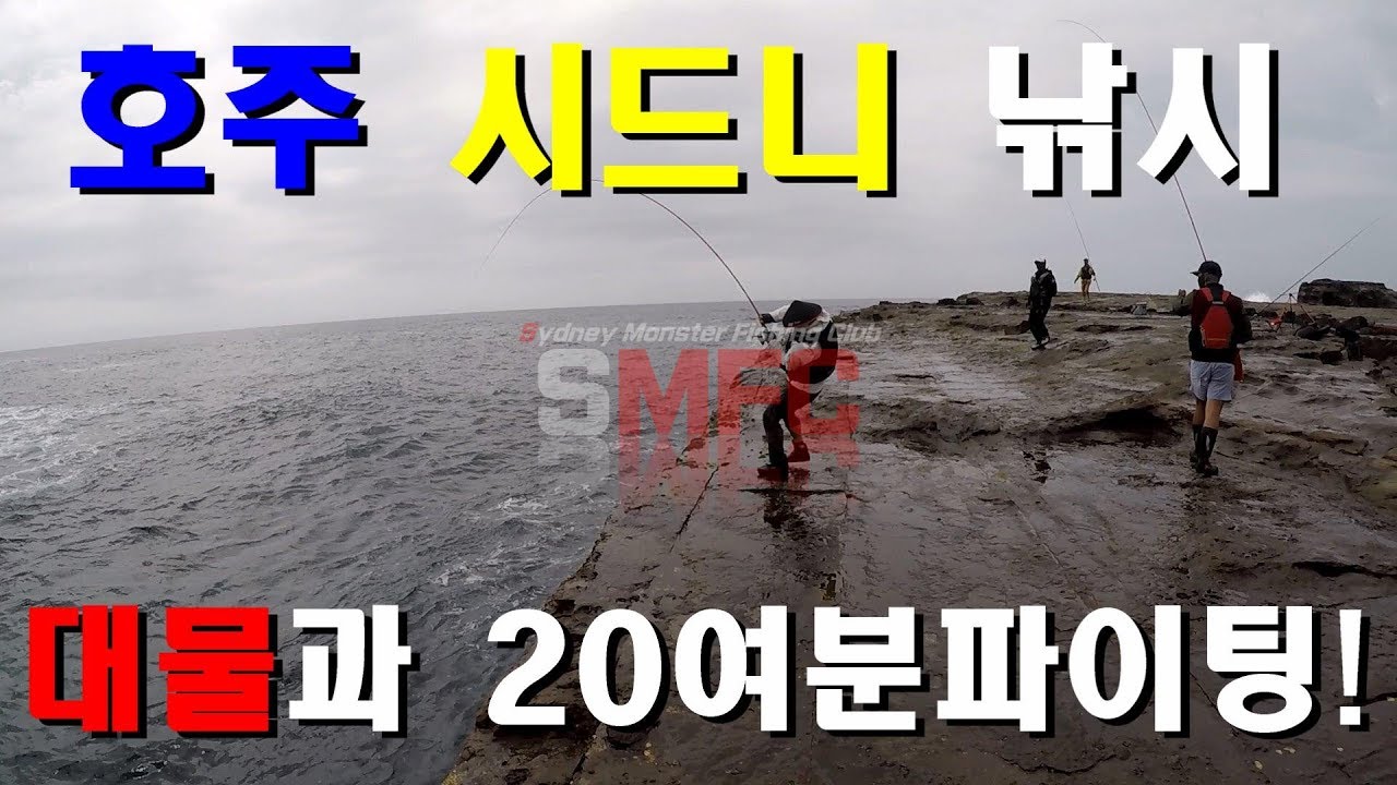 [SMFC] 호주 시드니 대물 낚시 - 시마노 레마레6