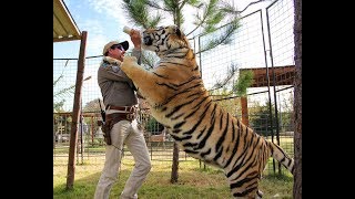 Download Lagu 'Tiger King': Adult Actress Rachel Starr Defends Joe Exotic, Calls the Series a 'Skewed Version of MP3