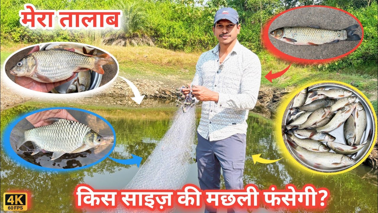 अपना तालाब में मैने करेंट जाल लगाया, जानिए कौन सी मछली फंसी 🐟🐠❓