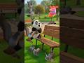 Panda Funny Ice-cream #short